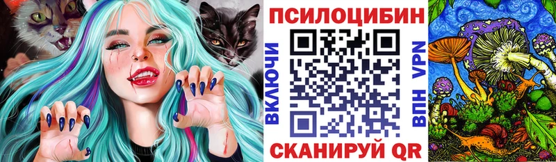Псилоцибиновые грибы GOLDEN TEACHER  сайты даркнета наркотические препараты  Чистополь  mega рабочий сайт 